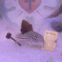 avatar 𐔌՞. .՞𐦯 samich  ꔫ