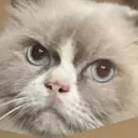 angryprince69