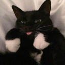 _batuga#8971's avatar