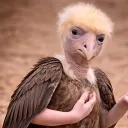 michaelo75
