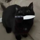 alex0_dev