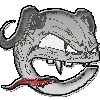 evilc
