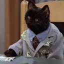 misterkot