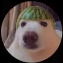 ismaeldcr