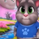 .zony