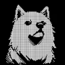 dawggy
