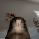 pasi.pr