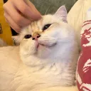 pangwhei