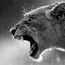 tylerh2022#3221's avatar