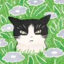 caitisacat