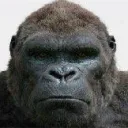 monke69420haha