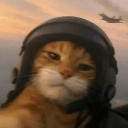 avatar A Regular Platypus