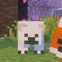 drguy_