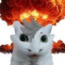 kiltro_dragon