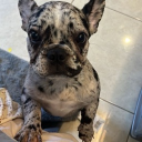 avatar Interrogation never moved me