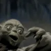 krossbarkenny