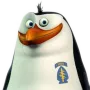 manchot_ofcra