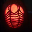 agentletrilobite