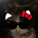 duzo.