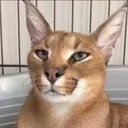 jkjkjkjkz