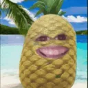 fibrecoquin