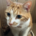 thelxix#5981's avatar