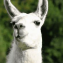 surmise9587#1878's avatar