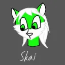 skai1402