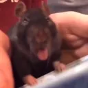 peyshift