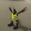tyaftelya