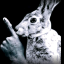 avatar ࿏✮~ ｉｃｅ