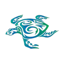 .seaturtle.