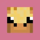 unwisegiraffe649211