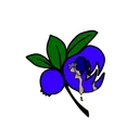 rabidblueberry