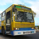 dino329