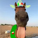 adumboiii