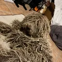 dickypip9_