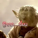 y0y0yamanea