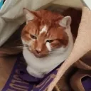 rivenbadchamp