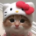spiceuz