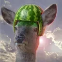 deersdeers