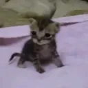 6969