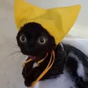 colb_