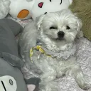 hwangjinhyun