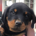 38b6bc73a1ba642db135f64851e6cd9f