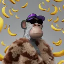 asfr_chikoko
