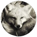 foxhop.