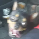 xavier_gregory avatar