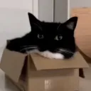 vuatex
