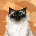 akajou